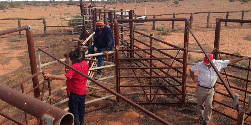 BHP Billiton Olympic Dam Corporation