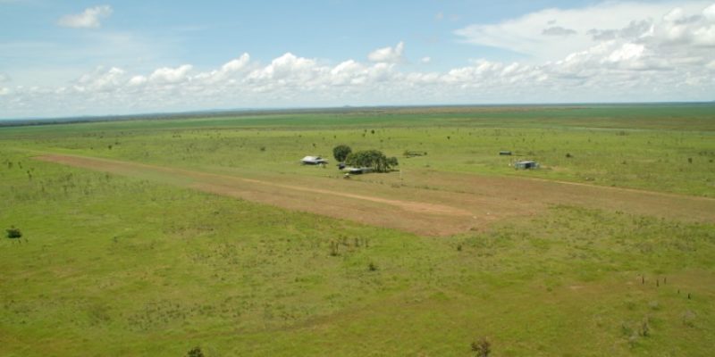 Djudian grazing lease 1